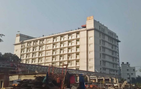 Comfit Green Leaf Composite Knit