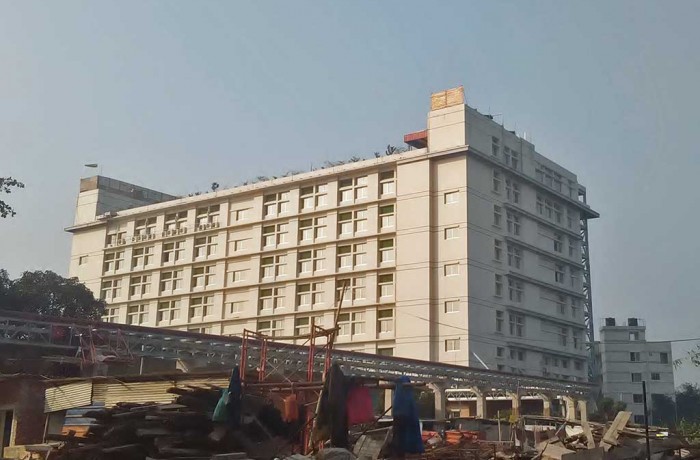 Comfit Green Leaf Composite Knit